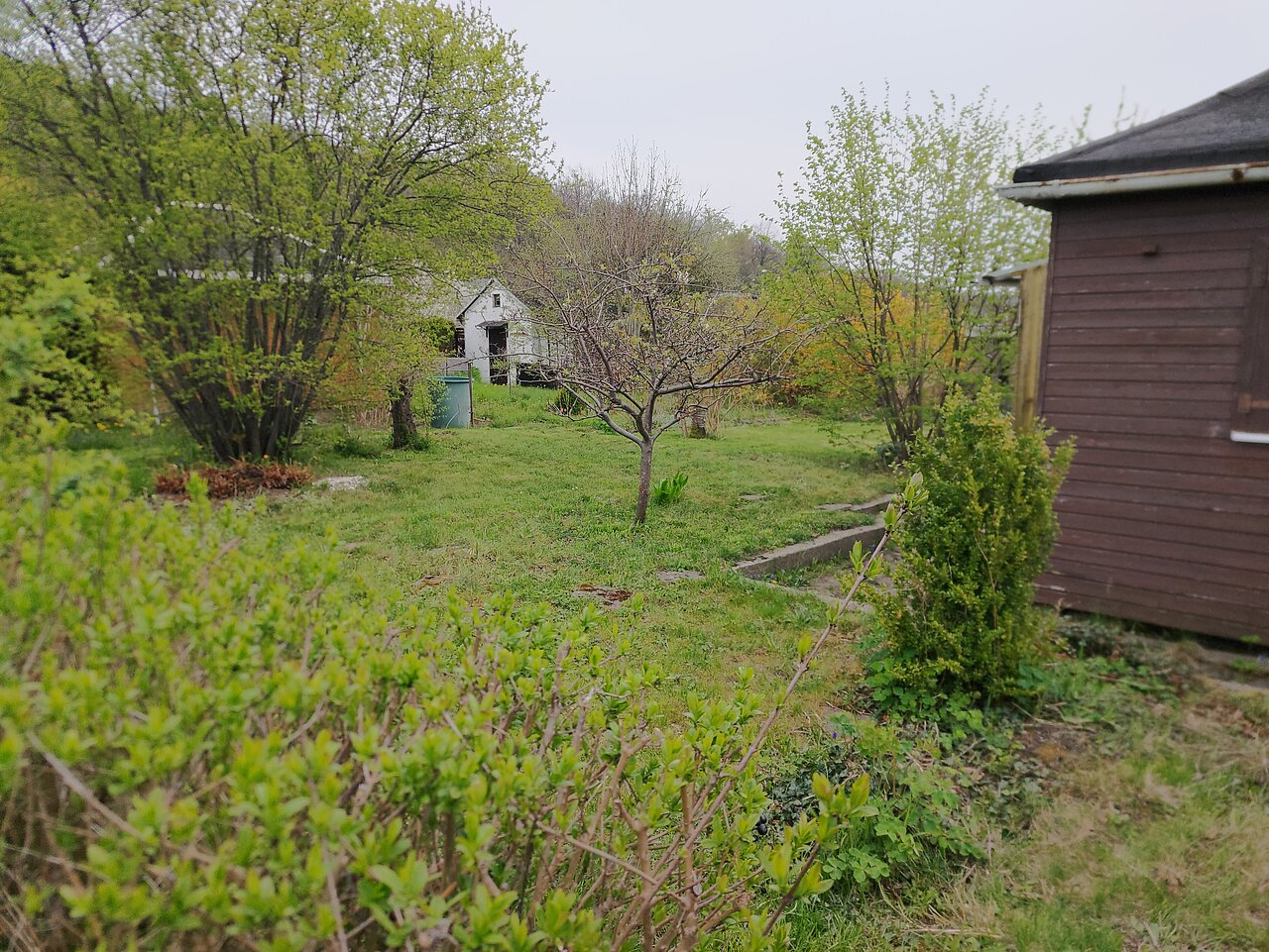 Garten 63